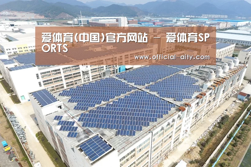 案例展示一