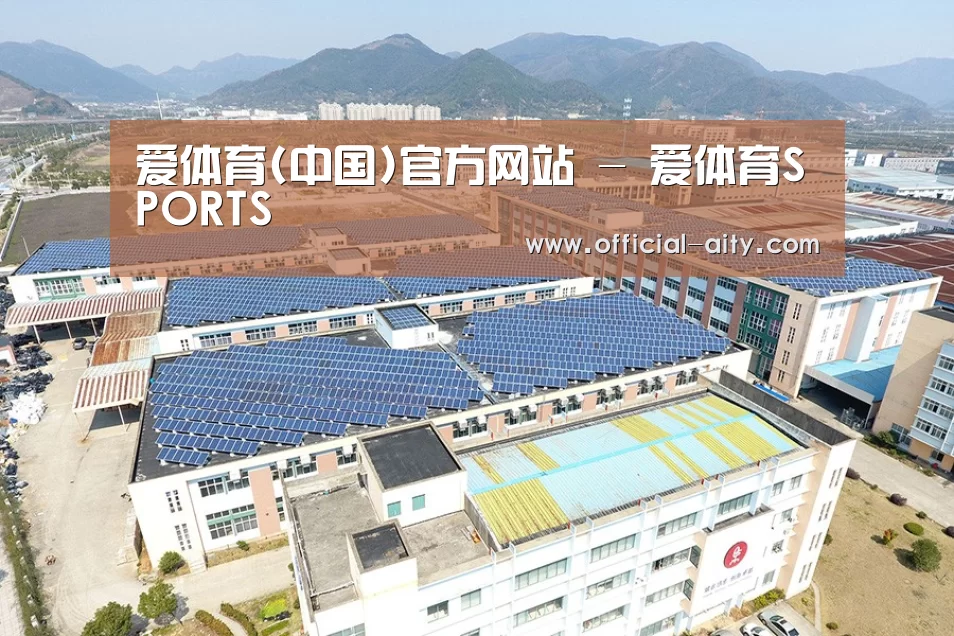 案例展示四