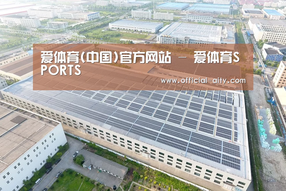 案例展示三