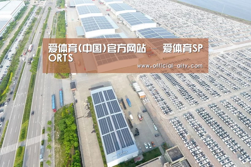 案例展示四