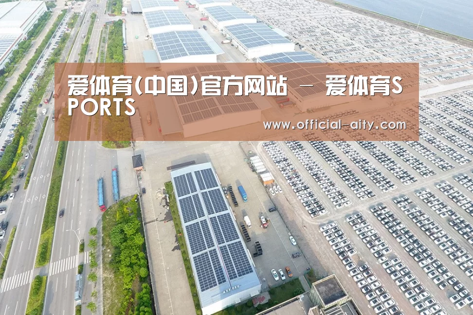案例展示三