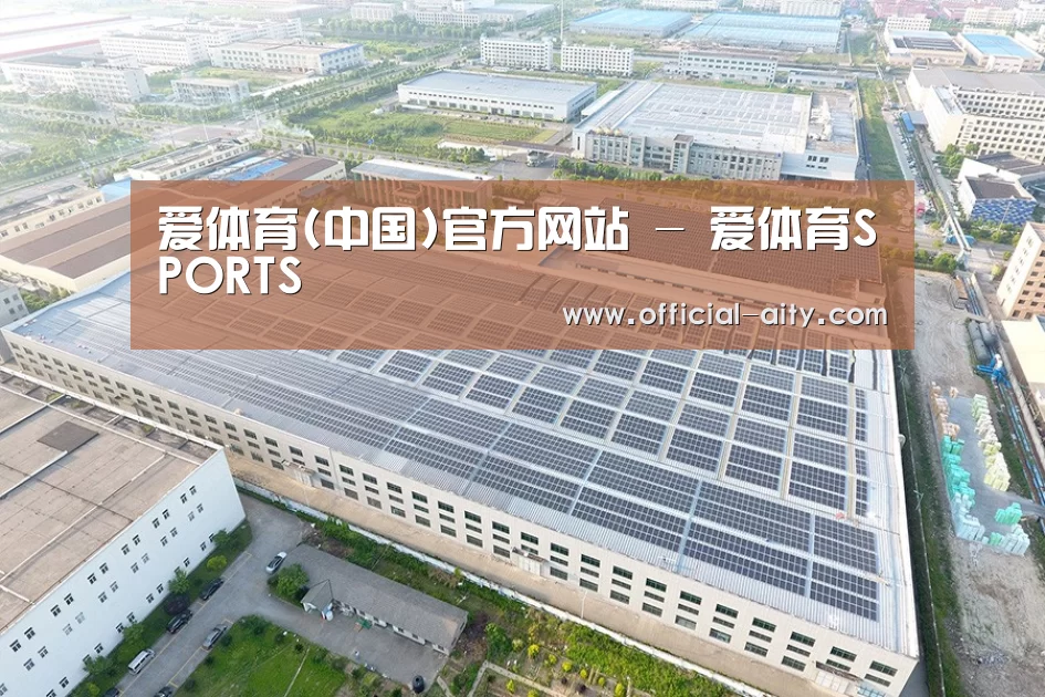 案例展示四